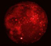 23.04.2005 - Zatmělý Měsíc infračerveně