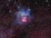 26.05.2005 - Krásný Trifid