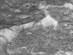 26.10.2005 - 4500 kilometrů nad Dione