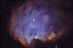 08.12.2006 - NGC 2174: Emisní mlhovina v Orionu