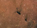 21.03.2007 - Molekulární mračno Barnard 163