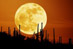 26.09.2007 - Měsíc Saguaro