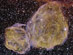 15.01.2008 - Zbytky dvojité supernovy DEM L316