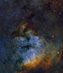 22.10.2010 - NGC 7822 v Kefeu