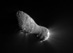08.11.2010 - 700 kilometrů od komety Hartley 2