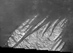 30.10.2011 - Bílé skalnaté prsty na Marsu