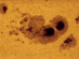 14.07.2012 - AR1520: Ostrovy ve fotosféře