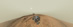 22.02.2013 - Panoramatický autoportrét Curiosity