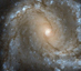 20.05.2014 - Ve středu spirální galaxie M61
