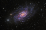 27.03.2015 - NGC 2403 v Žirafě