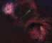 08.10.2018 - Kometa 12P mezi Růžicovou a Kuželovou mlhovinou