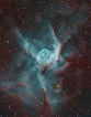 16.02.2019 - NGC 2359: Thorova přilba