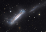 04.06.2020 - Portrét NGC 3628