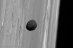 08.11.2020 - Marsovský měsíc Phobos z družice Mars Express