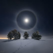 01.02.2021 - Lunární halo nad zasněženými stromy
