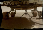 03.04.2021 - Ingenuity - sol 39