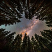 19.07.2021 - Zarámováno stromy: Okno do Galaxie