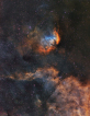 29.07.2021 - Tulipán a  Cygnus X 1