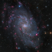 12.11.2021 - M33: The Triangulum Galaxy