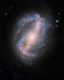 21.02.2022 - Spirální galaxie s příčkou  NGC 6217