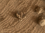 09.03.2022 - Kámen ve tvaru květiny na Marsu