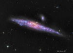 06.10.2022 - NGC 4631: Velrybí galaxie