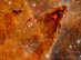06.12.2022 - M16: Hvězdotvorný pilíř z Webba