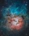 04.07.2024 - Krásný Trifid