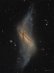 18.12.2024 - NGC 660: Galaxie s polárním prstencem
