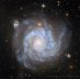 18.08.2025: NGC 1309: Užitečná spirální galaxie (1060)