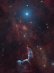 11.06.2026: Zbytky supernovy v mlhovině Malá mořská víla (2121)