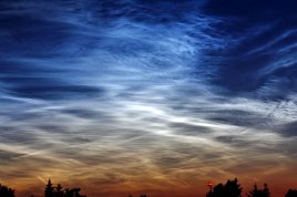 NLC