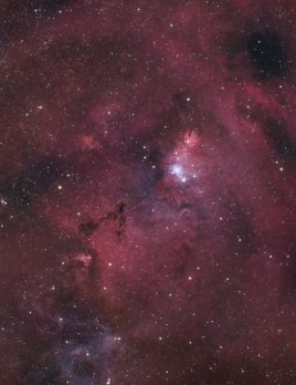 Christmas Tree Nebula (Mlhovina Vánoční stromek)