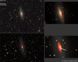 Supernova SN 2025rbs (NGC 7331)