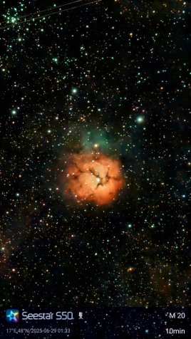 Trifid