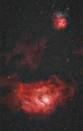 Laguna & Trifid