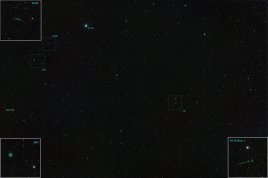 Supernova SN 2026sqf v galaxii NGC 3310