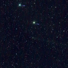 Kometa 220P/McNaught