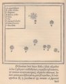 Autor: Tycho Brahe - Vyobrazení supernovy SN 1572 v Tychonově spise O nové hvězdě. Je zakreslena nahoře a označena I – Nova stella.