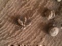 Autor: NASA/JPL-Caltech/MSSS/Kevin M. Gill - Kamera MAHLI na palubě roveru Curiosity vyfotografovala tyto zajímavé útvary podobné květu