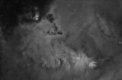 Autor: David Zimák - NGC 2264 - Kuželová mlhovina a její okolí