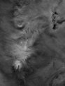 Autor: David Zimák - NGC 2264 - Cone nebula and Christmas tree cluster - detail
