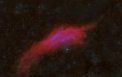 Autor: Roman Hujer - NGC1499  - mlhovina Kalifornie  v LRGB a  H-Alpha &  H-Beta