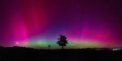 Autor: Knihovna Mokré. - Snímek „U Javoru“ Zbyňka Duchoně 
(1. místo v kategorii Astrofotografie – dospělí)