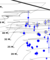 Autor: Michalis Kourniotis - Hertzsprungův–Russellův diagram zachycující modelový vývoj velmi hmotných hvězd. V grafu je vyznačena poloha jednačtyřiceti studovaných modrých obrů společně s vývojovými stopami hvězdných modelů pro hvězdy s hmotnostmi mezi 12 a 120 hmotnostmi Slunce. Černé kružnice ve vzorku zvýrazňují hvězdy typu α Cygni.