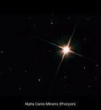 Autor: Martin Křížek - hvězda Procyon