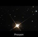 Autor: Martin Křížek - hvězda Procyon