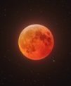 Autor: Petr Horálek/NOIRLab/FÚ v Opavě - Úplné zatmění Měsíce 14. 3. 2025 z observatoře Cerro Tololo v Chile