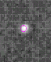 Autor: © University of Leicester - Pozice rentgenového zdroje identifikovaného přístrojem XRT na družici Swift na pozadí snímku z dalekohledu UVOT na téže družici. Kompozice zachycuje okolí záblesku GRB 200131A, expoziční doba pozadí v optické a blízké ultrafialové oblasti je 540 s.