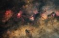 Autor: Jakub Korbel - Mezi Hadem a Střelcem